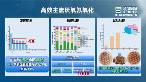 思普潤BFM生(shēng)物集效工(gōng)藝,服務 集效型污水廠(chǎng) 生(shēng)化效率持續提升